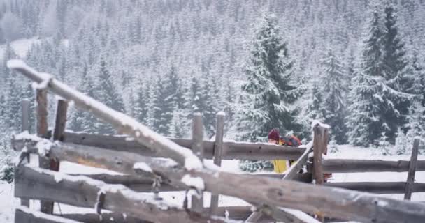 Walking tourist in the middle of mountain he stopped for a break under the big snowy tree in beautiful winter day , amazing view around — Stock Video