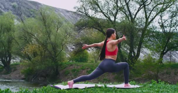 Estiramiento posa en la naturaleza en la señora en forma de estera practicando yoga mientras disfruta del paisaje y el aire fresco a su alrededor — Vídeo de stock