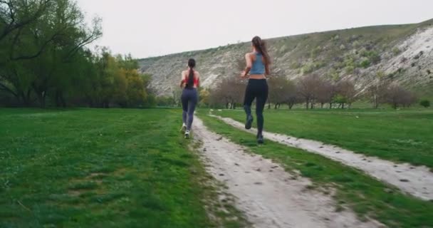 Amazing video capturing of a two sporty ladies running through of a beautiful mountain view with a green field, in a perfect summer day — стоковое видео