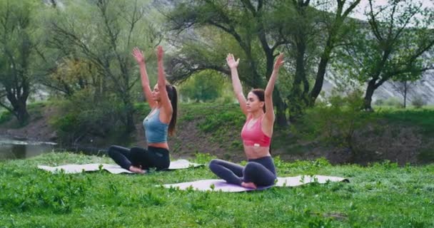 Onlar konsantre ve rahat yoga meditasyon zaman yapıyor güzel bir manzara ortasında doğada konsantre iki bayan — Stok video