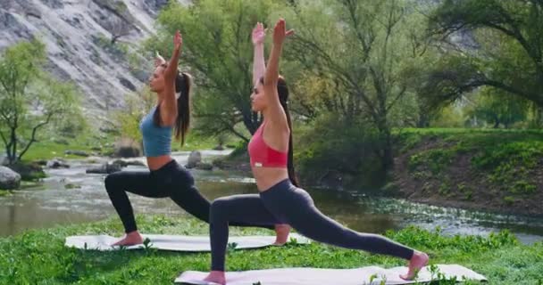 Группа из двух дам практикующих йогу вместе на природе на коврике йоги они делают растяжения упражнения тела, наслаждаясь пейзажным видом — стоковое видео