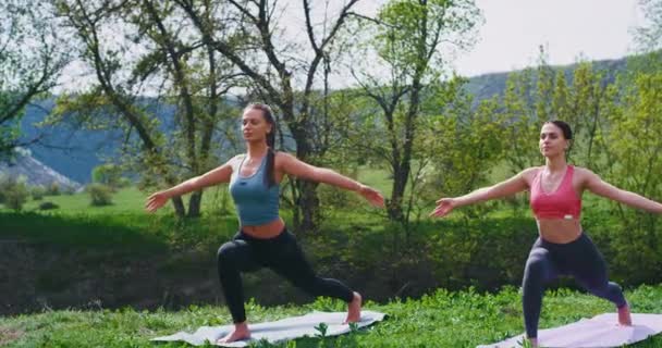 Hermosas mujeres haciendo ejercicios de yoga de estirar el cuerpo en la naturaleza en la esterilla que concentraron y relajaron practicando yoga, la meditación posa mientras toman un aire fresco en la naturaleza. — Vídeos de Stock