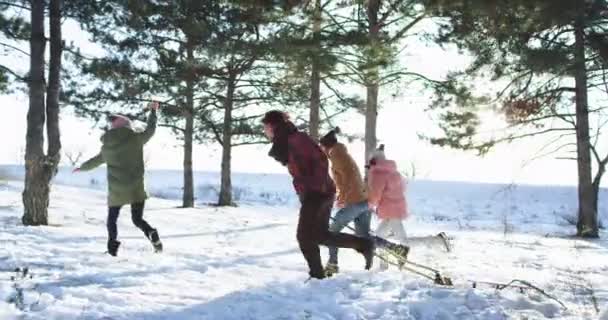 Carismático grupo de amigos emocionados disfrutando del tiempo en medio del bosque nevado que corren a través de la nieve con un trineo prepárate para un paseo . — Vídeos de Stock