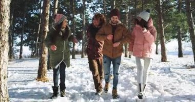 İyi görünümlü çok etnik arkadaşlar karlı ormanda mutlu yürürken birlikte büyük gülümseyerek ve heyecanlı duygu büyük bir zaman var