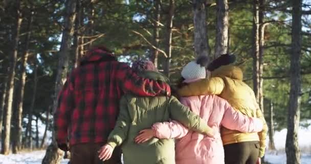 Het nemen van video van de achterste groep vrienden genieten van de tijd samen in het midden van besneeuwde bos ze voelen zich erg blij en ontspannen wandelen allemaal samen in een zonnige winterdag — Stockvideo