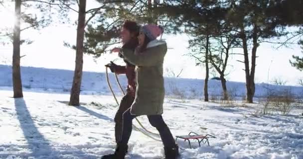 Multi étnico jovem senhora e homem ter um grande momento no meio do inverno tempo eles tomam um trenó para ter um grande passeio na floresta na natureza tomar um pouco de ar fresco — Vídeo de Stock