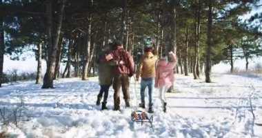 Arkadaş grubu onlar karlı ormanda atlama yürüyüş ve birlikte sohbet ve eğlenmek zaman zevk büyük bir kış günü var