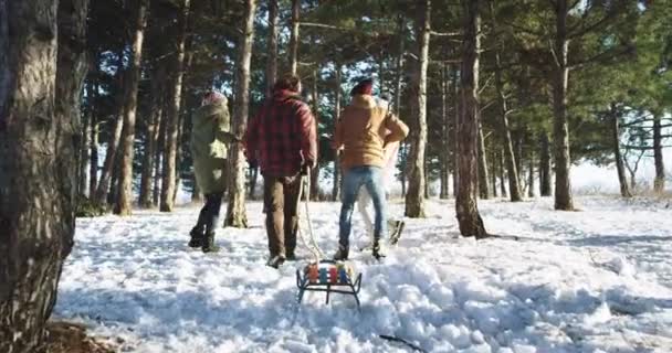 Feliz grupo de amigos jóvenes tienen un gran tiempo en medio de un bosque nevado que tomar fotos y disfrutar del tiempo juntos. mociones lentas — Vídeo de stock