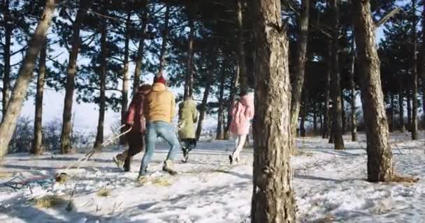 Schneeballzeit für eine Gruppe junger Freunde, die an einem sonnigen Wintertag inmitten eines verschneiten Waldes viel Spaß haben und sehr glücklich und aufgeregt sind — Stockvideo