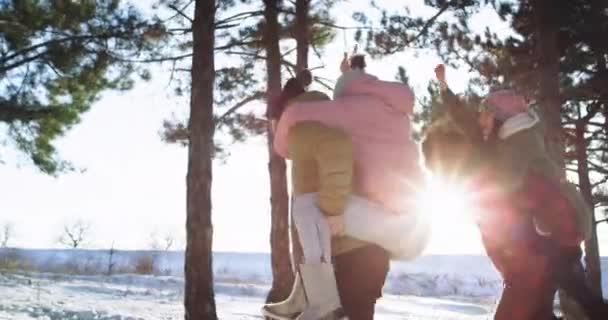 Sorridente grandi coppie carismatiche godendo il tempo in una dura giornata invernale in mezzo alla foresta innevata signore sono sulle spalle dei loro fidanzati — Video Stock