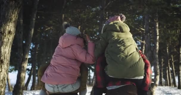 In het midden van een zonnige winter aantrekkelijke dames en heren genieten van de tijd samen op een besneeuwde bos vrouwen zijn op de rug van jongens en gevoel enthousiast — Stockvideo