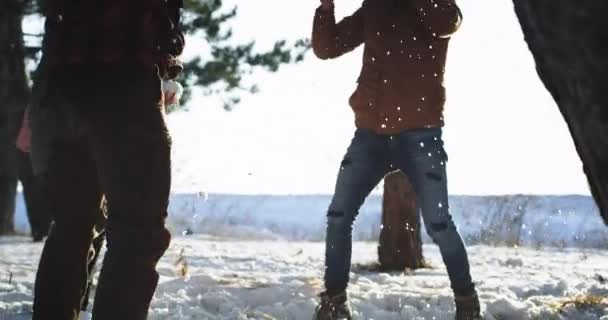 雪のボールで遊ぶ晴れた冬の日に友人のカリスマ的な多民族グループは、彼らは森の真ん中で一緒に時間を楽しんで非常に興奮 — ストック動画