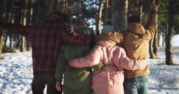 Het nemen van video vanaf de achterkant van een jonge groep vrienden wandelen door de harde sneeuw op het bos in het midden van de winter ze genieten van de tijd samen — Stockvideo