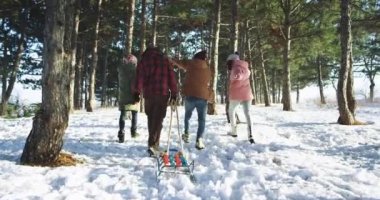 Kışın güneşli bir günde ormanın ortasında birlikte vakit geçirmekten zevk alan büyük bir arkadaş grubu karda yürürken mutlu bir şekilde bir kızağa biniyor.