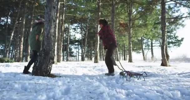 素敵なカップルは、雪の中を歩く森の厳しい冬の日を通してロマンチックな時間を過ごし、そりに乗って持っています — ストック動画