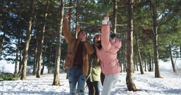 Grande grupo de amigos carismáticos tirando selfies no meio da floresta nevada eles se sentem animados e sorrindo aproveitando o tempo juntos. movimentos lentos — Vídeo de Stock