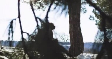 Yeni teknoloji kışın ortasında kızak üzerinde sanal gerçeklik gözlüğü kullanan bir adam keşfetmek o sanal dünyayı keşfederken o çok anlamlı zaman zevk