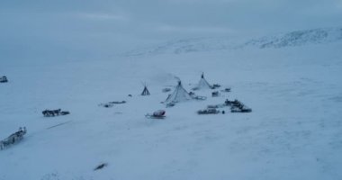 Sibirya'da tundra ortasında Yurts kamp, ren geyiği ve kızak drone alarak kampın inanılmaz görünümü yanındadır. kırmızı destan vurdu. 4k. yavaş hareketler