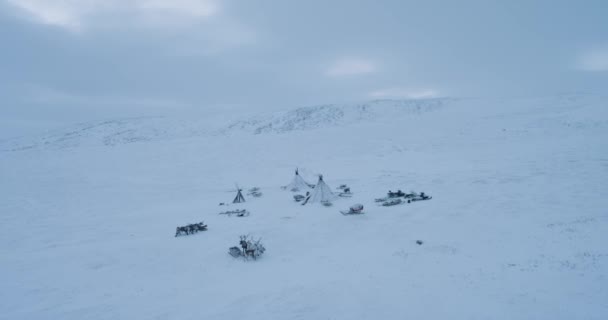 Renar och jurtor i mitten av Tundra erövrare av drönare. 4K — Stockvideo