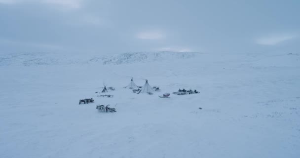 シベリアのツンドラの素晴らしい風景は、上からドローンを取ってユルトの大きなキャンプ、トナカイが周りにあります. — ストック動画