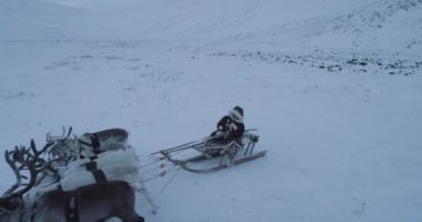 Video çekimi dronun tundra Arctic içinde ortasında. 4k