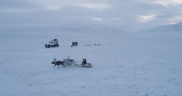 Yurts drone ile alarak Arctic ortasında olan büyük kamp. — Stok video