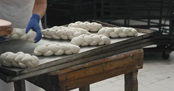 У великих пекарнях, які працюють, готуючи тісто, щоб готуватися до роботи в рукавичках крупним планом, вони кладуть тісто на полиці — стокове відео