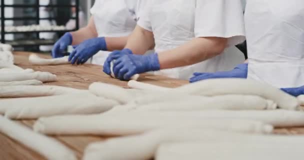 El procesamiento orgánico del pan de la preparación en una gran fábrica de panadería detalles de una masa preparándose para ser cocinados panaderos trabajando duro cargar la masa en los estantes — Vídeos de Stock