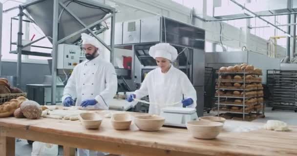 Çalışan iki fırıncılar çok ticari bir fırın fabrikasında ekmek pişirme için hamur parçaları oluşturan karizmatik konsantre — Stok video