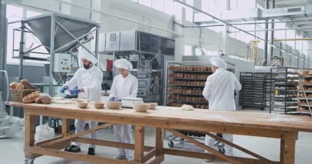 Grande industrie de boulangerie commerciale trois boulangers travaillant concentrés formant des morceaux de pâte pour la cuisson du pain vieil homme transporté les étagères de pain cuit — Video