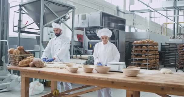 Bakkerij industrie professionele bakkers vormen stukjes deeg voor het bakken van brood op de tafel Vintage mand met biologisch brood op de Tablet grote industriële machine op de achtergrond — Stockvideo
