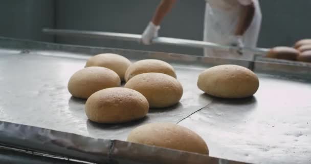 Gekookt brood gelost uit de oven van een professionele bakkerij arbeider, het dragen van speciale witte uniform, voedingsindustrie — Stockvideo
