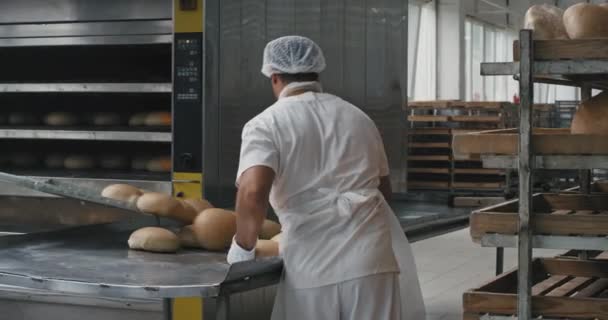 Fábrica de panadería de la industria alimentaria que trabaja duro trabajadores profesionales en el uniforme blanco descargó el pan cocido de la máquina del horno y cargó a los estantes — Vídeo de stock