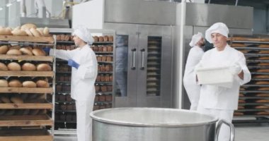 Fırın sanayi çalışma gün eski fırıncı şef hamur hazırlayan konteyner arka planda bazı un eklemek onun yardım ekmek düzenlemek ve pişmiş ekmek rafları hareketli. 4k