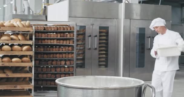 Bello vecchio panettiere preparare l'impasto aggiungere la farina in un contenitore industriale di sfondo lavoratori in movimento e trasportati i ripiani del pane in altra sezione — Video Stock