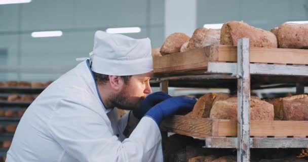 W piekarni szef kuchni piekarz kontroli jakości chleba po tym, jak był startu z pieca przemysłowego, patrzy przez półki i analizowanie chleba — Wideo stockowe