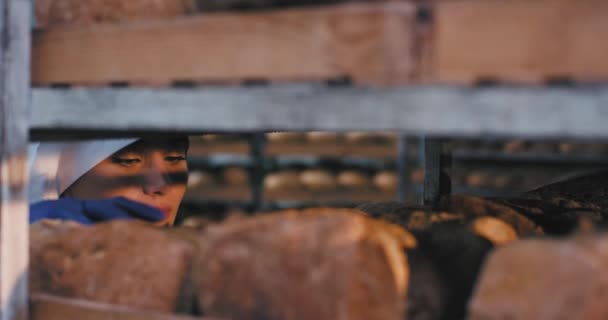 Gros plan belle dame boulangère dans la cuisine industrielle de boulangerie elle est venue prendre du pain frais cuit elle sent avec plaisir le pain et en prendre avec elle — Video