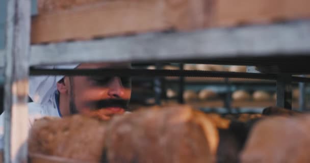 Panadería panadero hombre carismático con barba oliendo con placer el pan recién horneado y tomar un poco de pan de la estantería — Vídeos de Stock