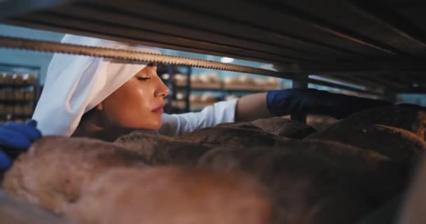 パン屋のキッチンで魅力的な若い女性のパン屋は、彼女は産業棚の中に配置焼きたてのパン — ストック動画