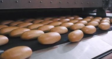 Fırın cılık sektöründe otomatik konveyör hattından aşağı yuvarlanan pişmiş ekmek, gıda imalatı