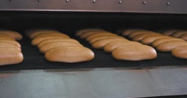 Fırın sanayi pişmiş taze ekmek otomatik hat konveyör çıkmak, bant, modern makine gıda sanayi haddeleme
