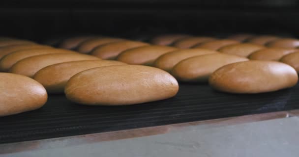 Ayrıntılar closeup otomatik hat ve konveyör fırın ekmeği bant tan çıkmak , bir fırın fabrikasında modern makine — Stok video