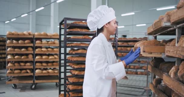 Hermosa mujer panadero colocar el pan fresco horneado en el orden en que mueve el estante muy concentrado que trabaja en una fábrica de panadería. tiro en épica roja — Vídeos de Stock