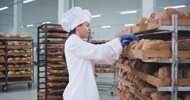 Mujer atractiva panadero colocar el pan en el orden en los estantes que llevaba un hermoso uniforme blanco, industria de la panadería — Vídeo de stock