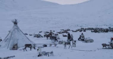 Tarlanın ortasında Kikutbu'da yurtlarda yaşayan insanlar, geleneksel kürk giyen insanlar, dizginler yanlarında , tundra da tipik bir gün