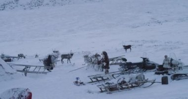 Sibirya'nın ortasında yurtlar bir kampta Reindeers , erkek ve çocuklar bir gün dışarı harcama , oynarken , onlar tundra ortasında sağlıklı bir yaşam var