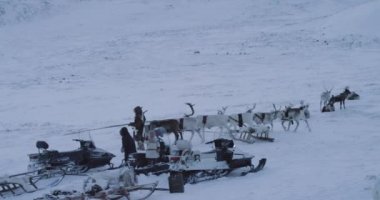 Tundra çocuklar ve yetişkinlerin ortasında yurtlar kampının Arctic inanılmaz yakalama video birlikte iyi vakit geçirmek , kürk geleneksel giysiler giyen , çocuklar çalışan ve adam tutan