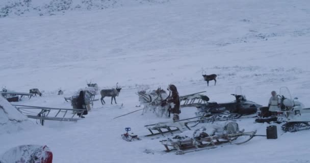 Renos en un campamento de yurtas en medio de Siberia, hombres y niños pasando un día fuera, jugando, tienen una vida saludable en medio de la tundra — Vídeos de Stock