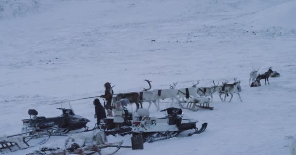 Amazing fånga video från Arktis i jurts läger i mitten av tundran barn och vuxna har en bra tid tillsammans, klädd i traditionella kläder från päls, barn kör och man Holding — Stockvideo