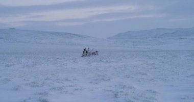 Tundra tarlanın ortasında güzel büyük dizginler kürk giyen bir adam ile bir yolculuk var